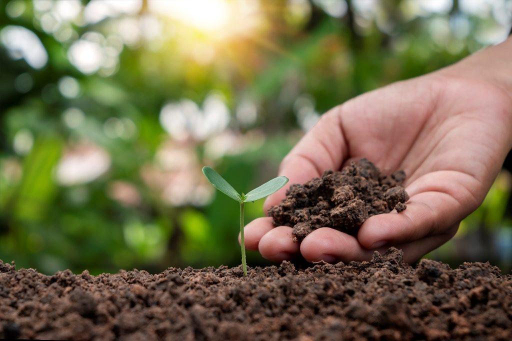 Agriculture & Soil Health